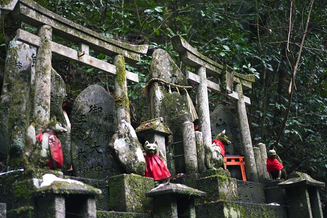 1-Day Kyoto and Nara Highlights Day Trip with a Private Car - Kasuga Taisha and the atmosphere of the forest