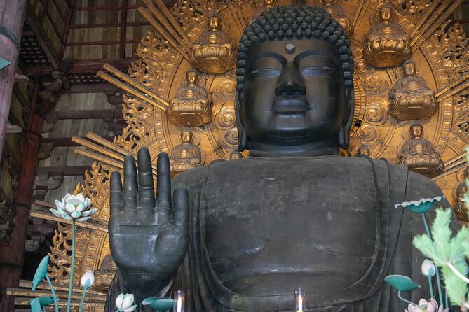 1-Day Kyoto and Nara Highlights Day Trip with a Private Car - A drive through Gion to finish in Kyoto