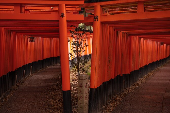 10 Must-see Spots in Kyoto One Day Private Tour (up to 7 people) - Togetsukyo Bridge and Kimono Forest