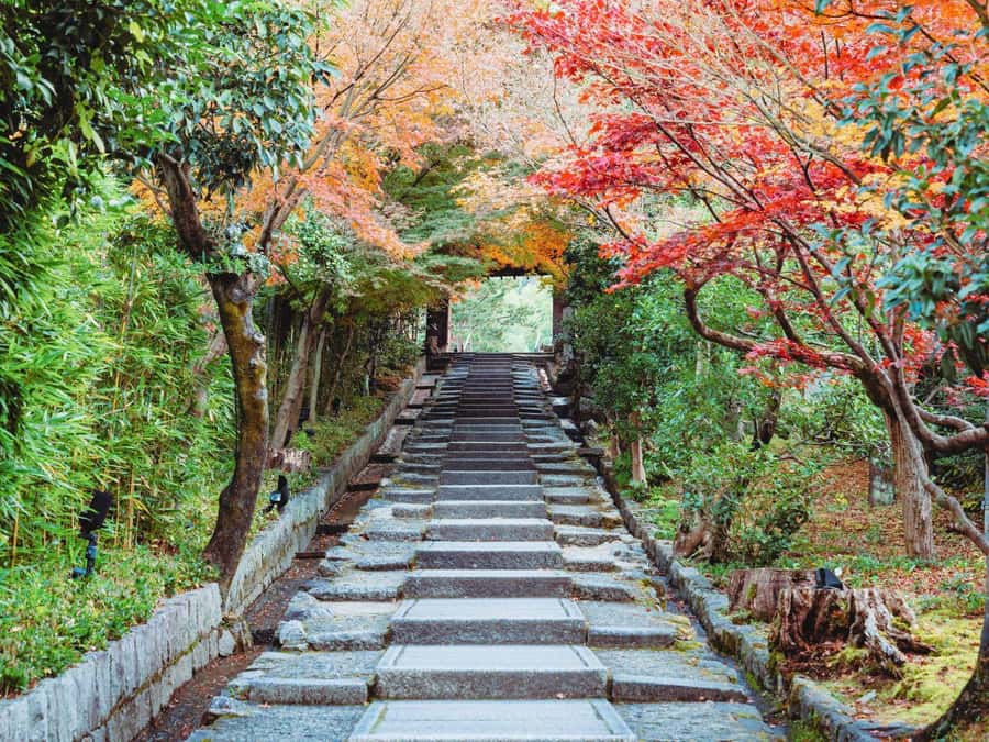 [2.3km / 1.43mi] Kyoto East Early Morning Walking Tour - Sannenzaka shows Kyoto at street level