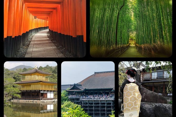 4 Hours Arashiyama and Arashiyama Monkey Park Tour - Who will enjoy this tour most