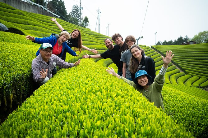 7hr Private Wazuka True Hidden Kyoto Matcha Farm Experience - Beginning with a local tea family