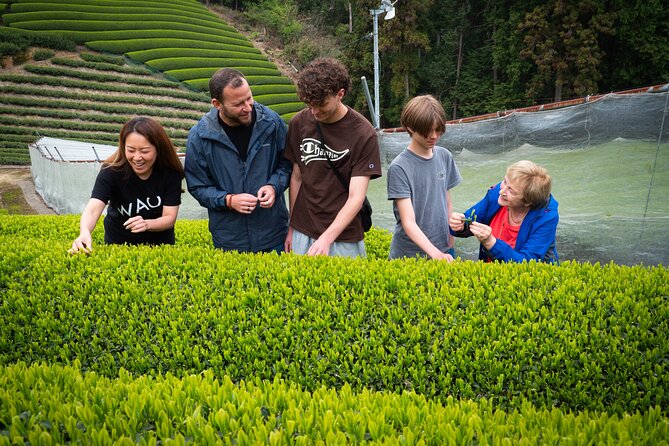 7hr Private Wazuka True Hidden Kyoto Matcha Farm Experience - Walking through two working matcha farms