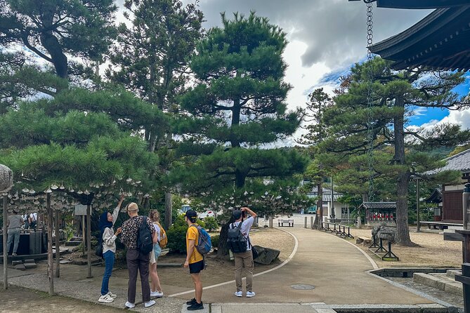 All-Inclusive Kyoto Day Tour: Amanohashidate, Miyama or Ohara - Key points at a glance