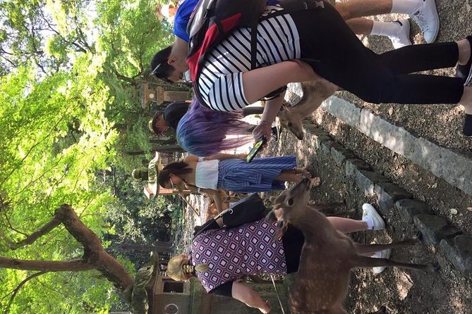 All must-sees in 3 hours - Nara Park Classic Tour! From JR Nara! - Kofuku-ji and the useful finish near lunch