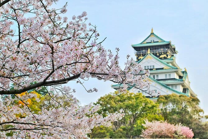 Amanohashidate & Ine Boathouse Full-Day Tour from Kyoto or Osaka - Who will enjoy this day trip most