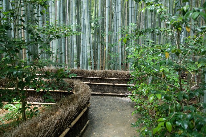 Arashiyama Bamboo Forest E-Biking Tour - Why an e-bike works so well in Kyoto