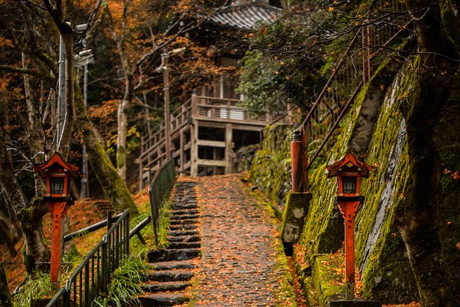 Arashiyama Bamboo Forest E-Biking Tour - Walking through the Arashiyama Bamboo Forest