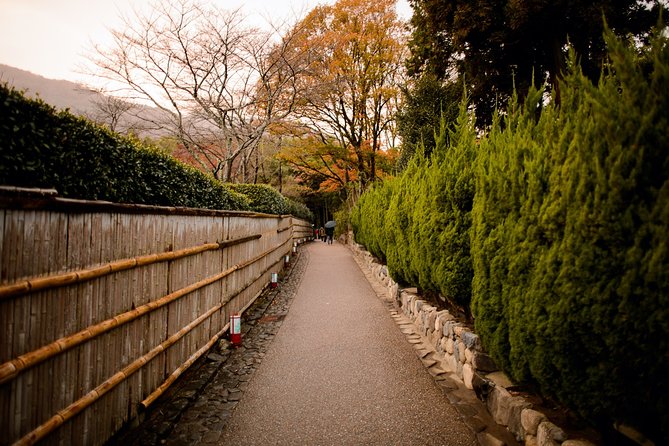 Arashiyama Bamboo Forest E-Biking Tour - The countryside roads are part of the attraction