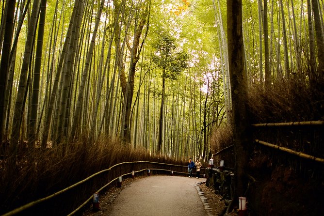 Arashiyama Bamboo Forest E-Biking Tour - Starting at 1:00 pm from central Kyoto