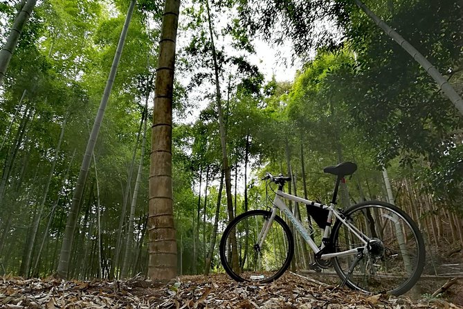 Arashiyama Bamboo Forest & Hidden Gems Bike Tour (Early Bird) - Two hours among Arashiyama’s quieter roads