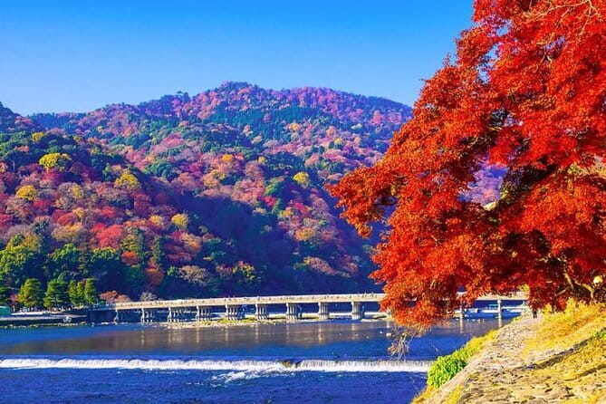 Arashiyama Bamboo & "Must See" Gardens with an Amazing Guide - Why this Arashiyama walk works better than a quick photo stop