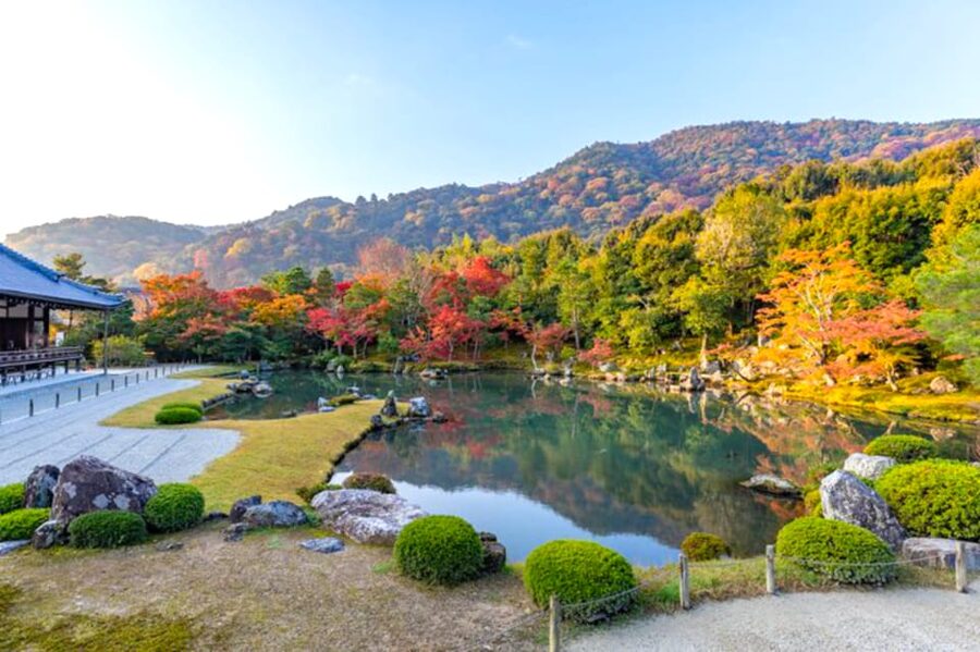 Arashiyama Bamboo, Temple, Monkeys, or Secret Sake Brewery - The alternate route: local lunch and Tanzan Brewery
