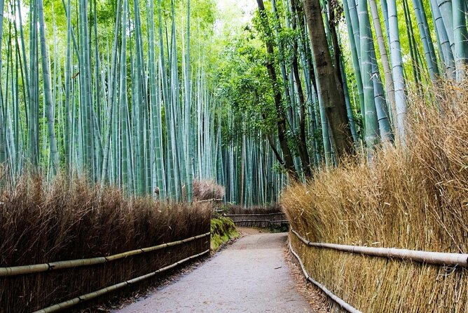 Arashiyama from Kyoto: Private & Personalized with a Local Guide - Gio-ji: a small temple with a soft, quiet mood