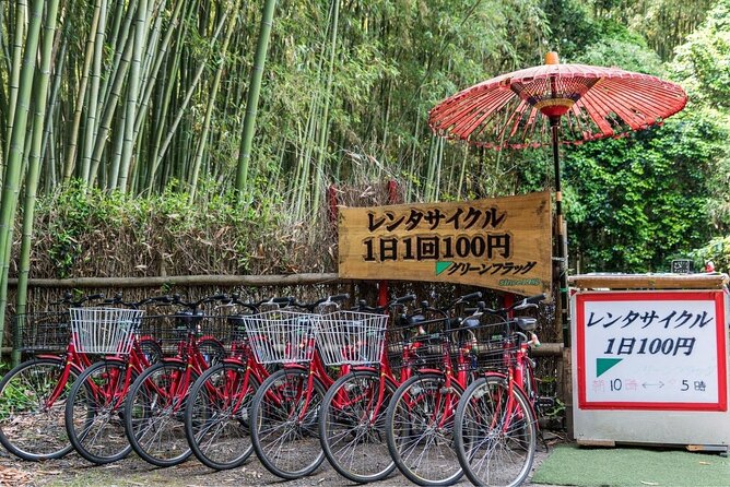 Arashiyama from Kyoto: Private & Personalized with a Local Guide - Otagi Nenbutsu-ji and its 1,200 expressive statues