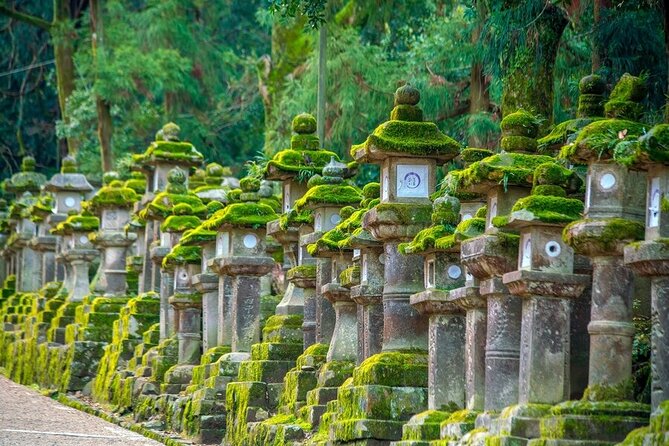 Arashiyama & Nara Highlights: One-Day Private Tour Adventure - Nara Park and the famous deer