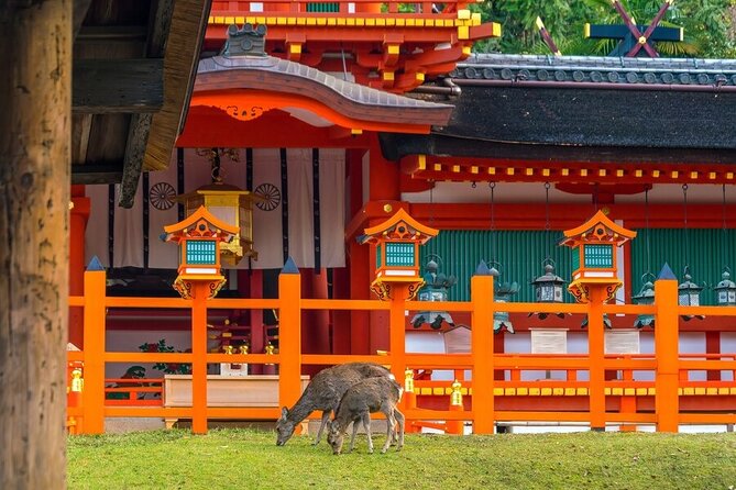 Arashiyama & Nara Highlights: One-Day Private Tour Adventure - A private guide makes the pace more manageable