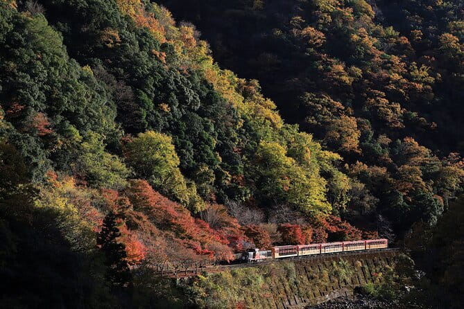 Arashiyama Walking Tour with Optional Sagano Romantic Train Ride - Key Points To Know Before You Book