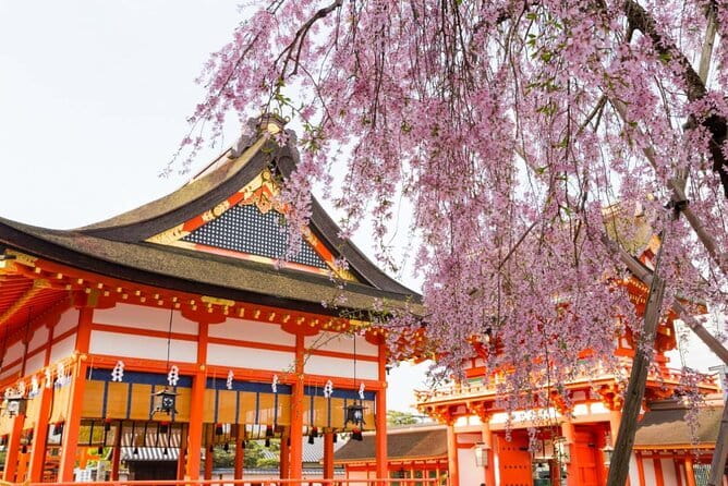 Arashiyama Walking Tour with Optional Sagano Romantic Train Ride - A Quiet Finish In Kameyama Park