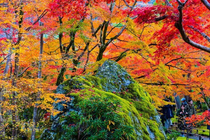 Arashiyama Walking Tour with Optional Sagano Romantic Train Ride - The Optional Sagano Romantic Train