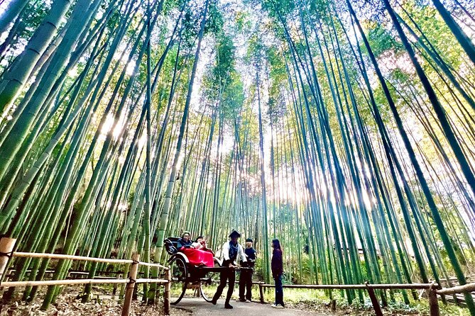 Bamboo Grove Temple and Garden Views Tour - What this Arashiyama morning does well