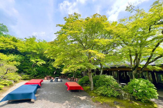Bamboo Grove Temple and Garden Views Tour - Hiking up to Iwatayama Monkey Park
