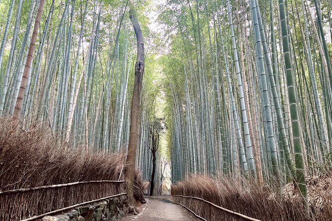 Bamboo Grove Temple and Garden Views Tour - Taking the hillside route through Okochi Sanso Garden