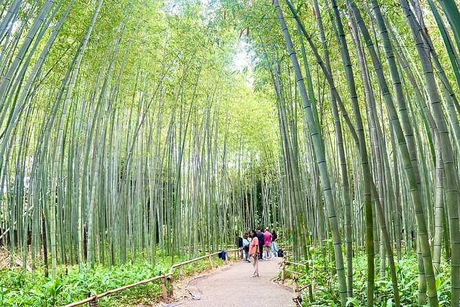 Bamboo Grove Temple and Garden Views Tour - Starting at Kyoto Station and reaching Arashiyama