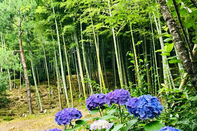 Bamboo LED Lantern Making Experience in Kyoto Arashiyama - Family appeal and age considerations