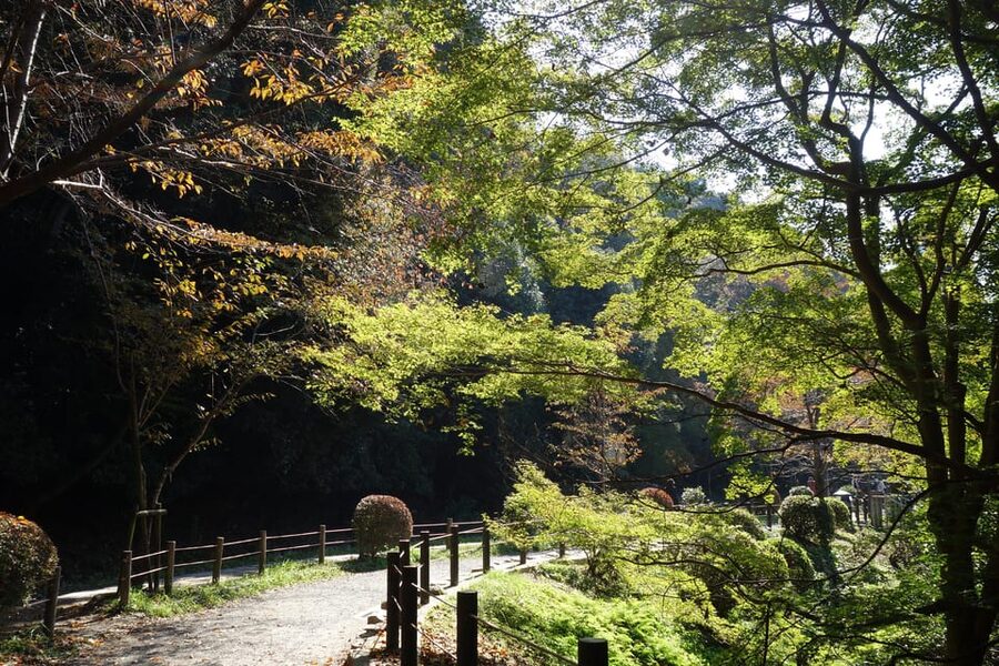 Best of Kyoto: Ginkakuji & Path of Philosophy E-Bike Tour - Why an e-bike works so well in Kyoto