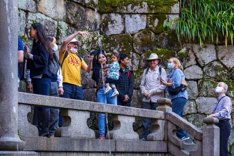 Best of Kyoto: Red Gates of Fushimi Inari & Kiyomizu Temple - Who should book this Kyoto tour?