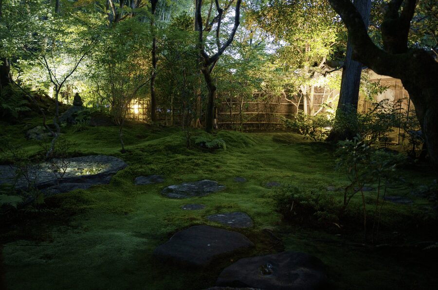 Candlelit Zen: Evening Meditation at Kyoto’s Secret Temple - Who will get the most from this Kyoto experience