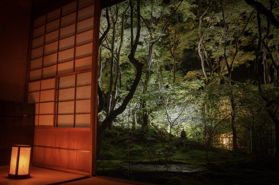 Candlelit Zen: Evening Meditation at Kyoto’s Secret Temple - The best and weakest parts of the experience