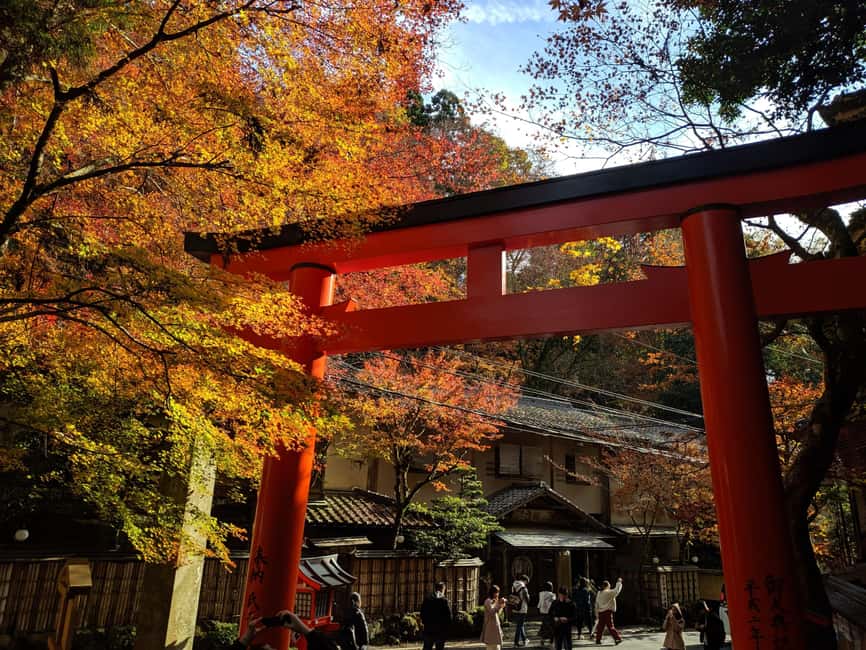 Craig's Kyoto Private Luxury Alphard Tour / The Early Riser - Booking details that matter