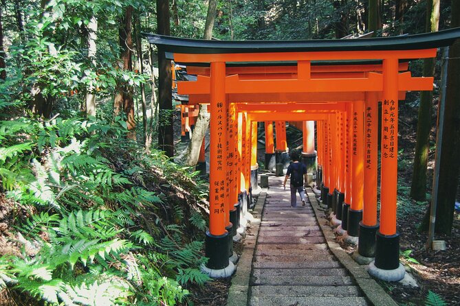 Crowd-Free Kyoto: Fushimi Inari, Nijo Castle & Kinkaku-ji - Who will enjoy this Kyoto route most?