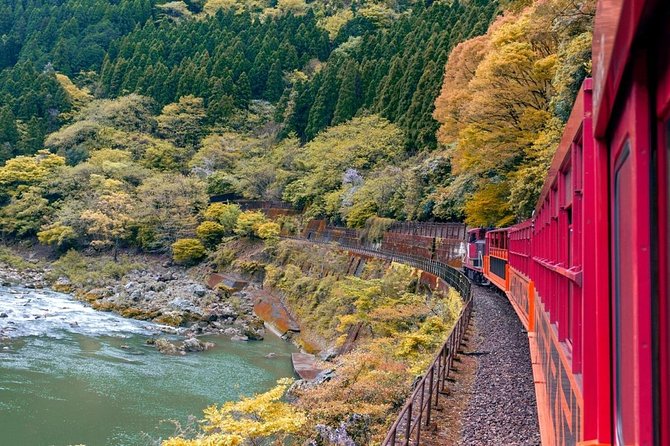 Cruise Stop-Over: Private Custom Day trip to Kyoto from Kobe Port - Arashiyama and the bamboo grove