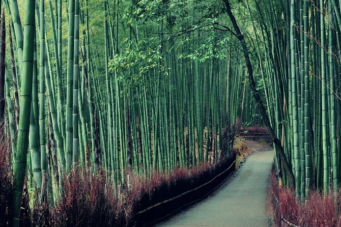 Cruise Stop-Over: Private Custom Day trip to Kyoto from Kobe Port - Reaching Kyoto by taxi and train