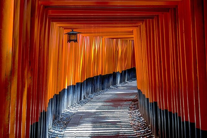 Customized Private Kyoto Tour by a local tour guide - Kiyomizu-dera and the view over Kyoto