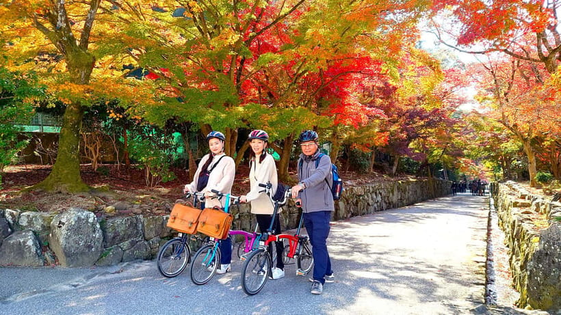 Cycling Tour at Uji's Matcha Green Tea Fields and Heritage - Uji Shrine and Ujigami Shrine