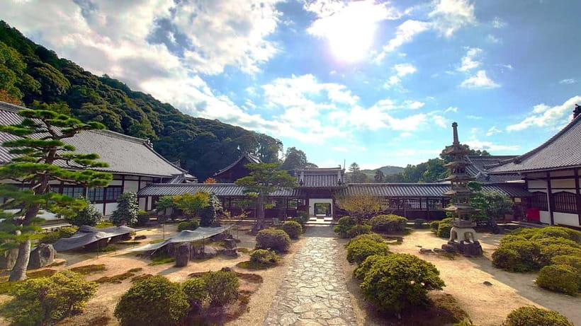 Cycling Tour at Uji's Matcha Green Tea Fields and Heritage - Byodoin Temple and the Phoenix Hall