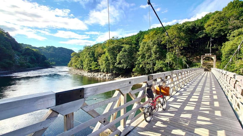 Cycling Tour at Uji's Matcha Green Tea Fields and Heritage - Kosho-ji Temple and the wooded roads