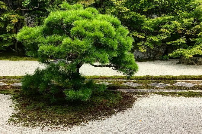 Discover Kyoto by Bike: Authentic Half Day Tour - Ginkakuji, the Silver Pavilion