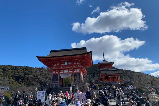 Discover the Secrets of Fushimi Inari and Gion with a Local Guide - Fushimi Inari’s torii gates