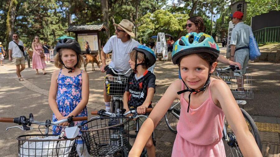 E-Bike Nara Highlights - Todaiji, Knives, Deer, Shrine - Nandaimon Gate and Todaiji Temple
