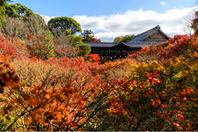 Early Bird E-biking through East Kyoto - Nanzen-ji’s grand temple grounds