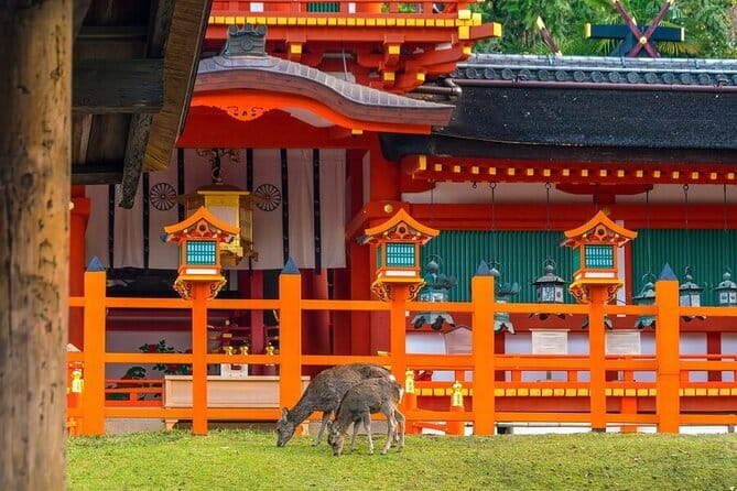 Early Half Day to Kyoto Highlights - A guide who keeps the morning on track