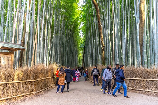 Explore Arashiyama Bamboo Forest with Authentic Zen Experience - Why this Arashiyama tour feels different