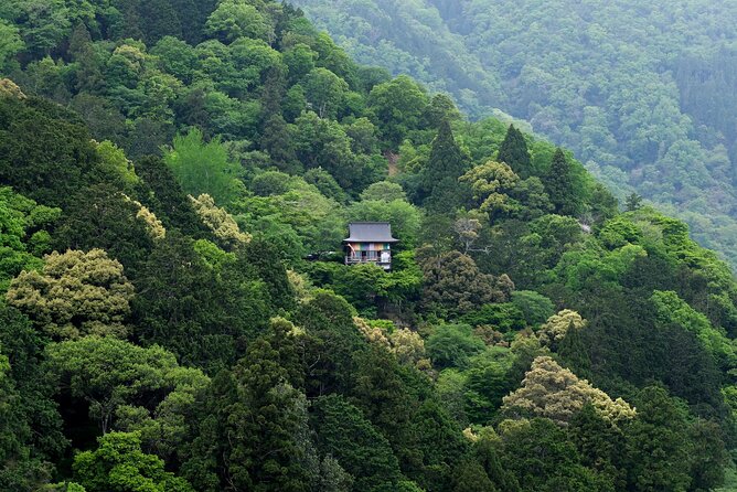 Explore Arashiyama Bamboo Forest with Authentic Zen Experience - Walking through Kameyama Park