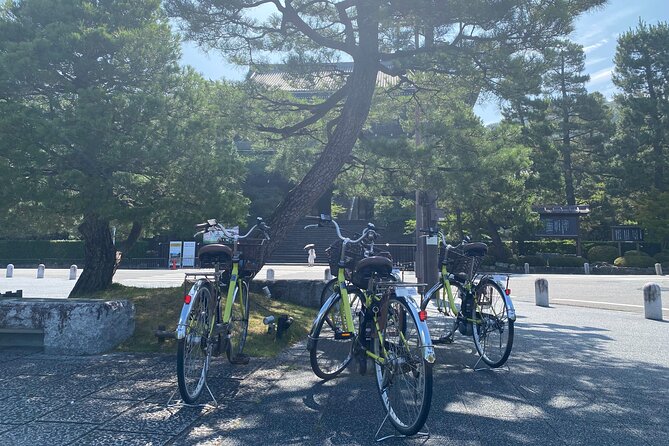 Explore Hidden Kyoto by E-Bike: Private, Scenic & Fun - Hanamikoji Street brings you into old Gion