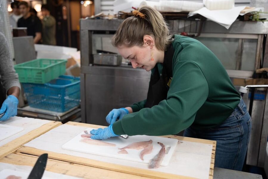 Fish cutting class - What the $77 price buys you